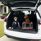 Spacious Soft-Sided Pet Carrier