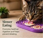AI-generated illustrative Furruvi CalmLick cat lifestyle editorial photo; actual product may differ