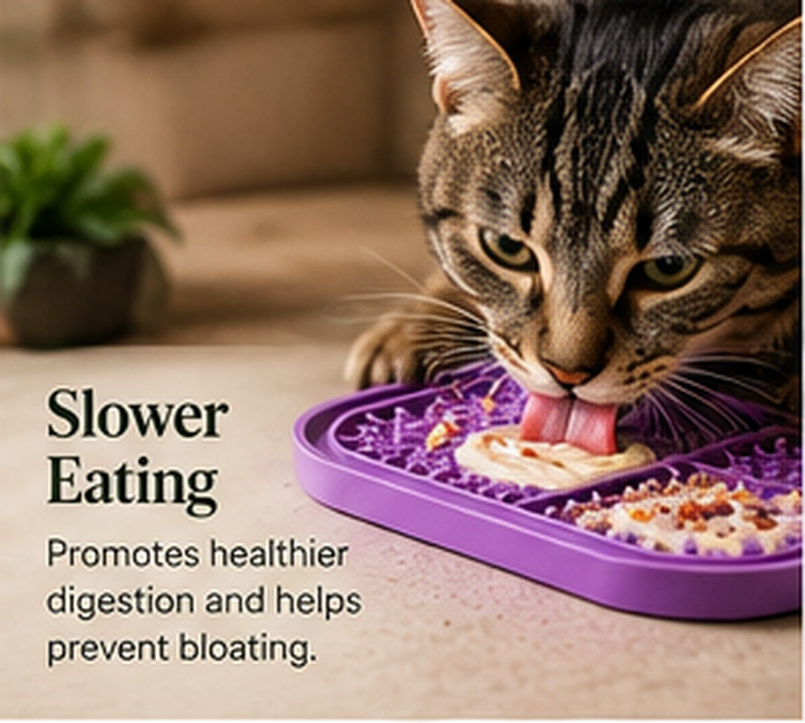 AI-generated illustrative Furruvi CalmLick cat lifestyle editorial photo; actual product may differ