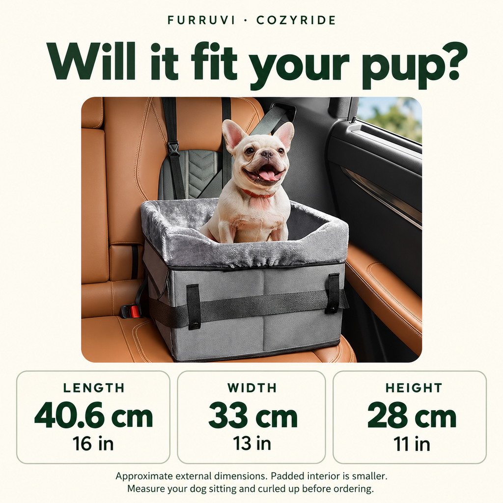 CozyRide gray car seat size guide: approximate external length 40.6 cm, width 33 cm, height 28 cm; padded interior is smaller.