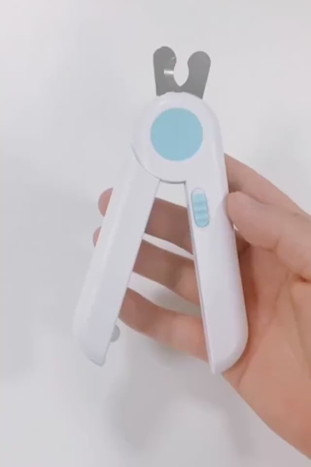 CJJJJTJT09157