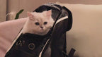 Pet Backpack Cat Bag Breathable Cat Space Bag